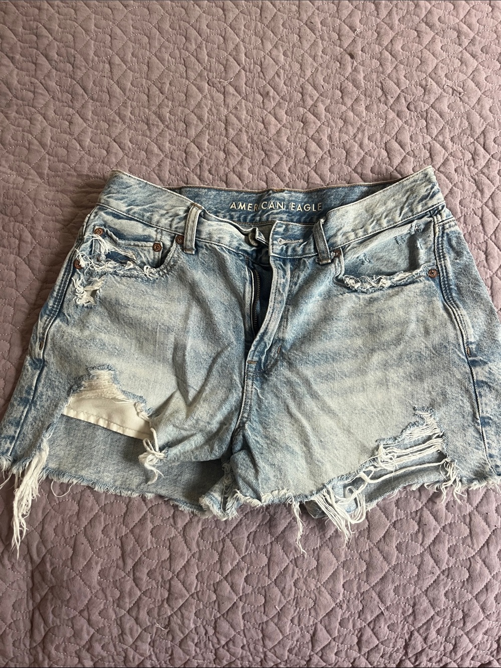 American Eagle Outfitters Light Blue Distressed Denim Cutoff Shorts
